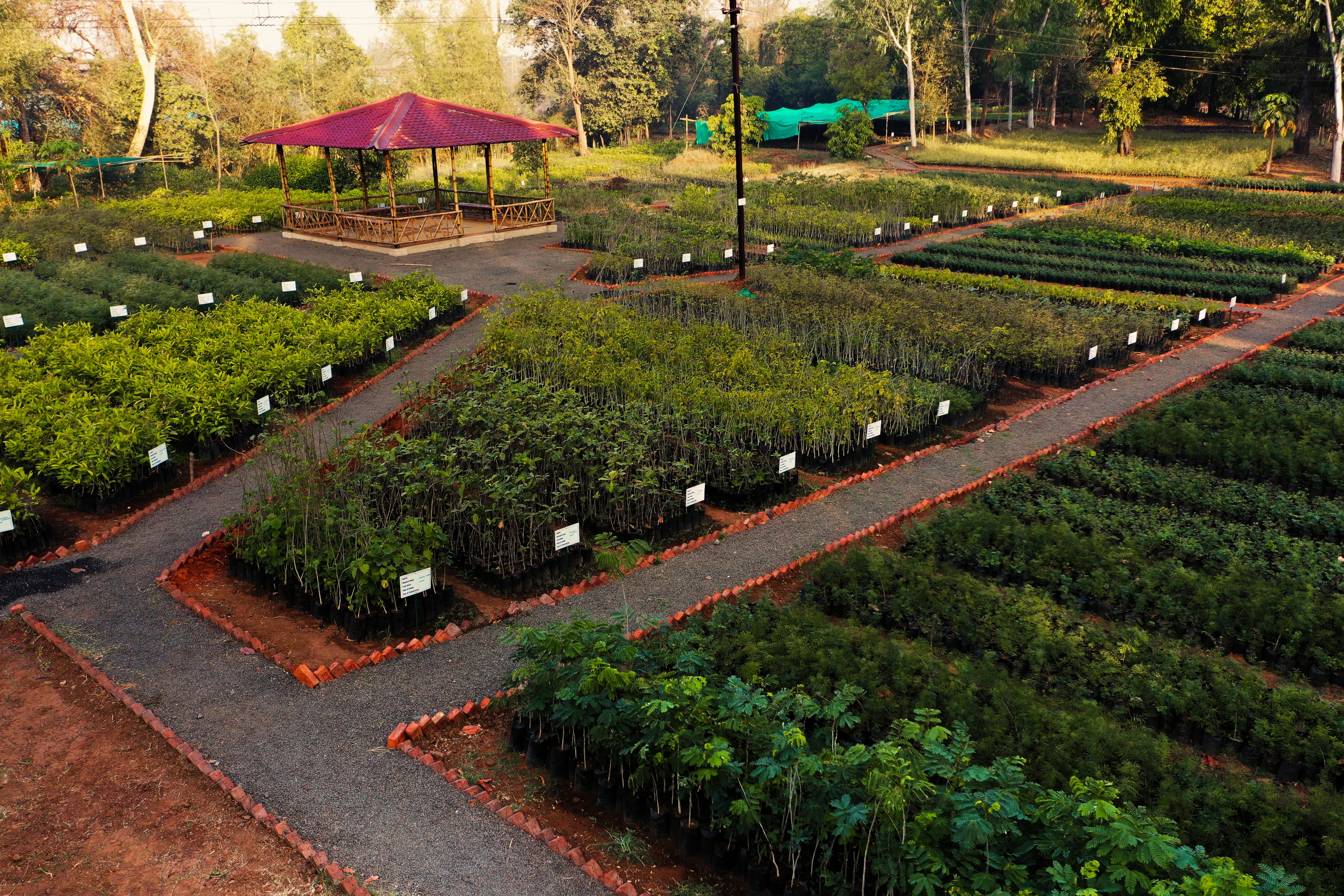 Nursery