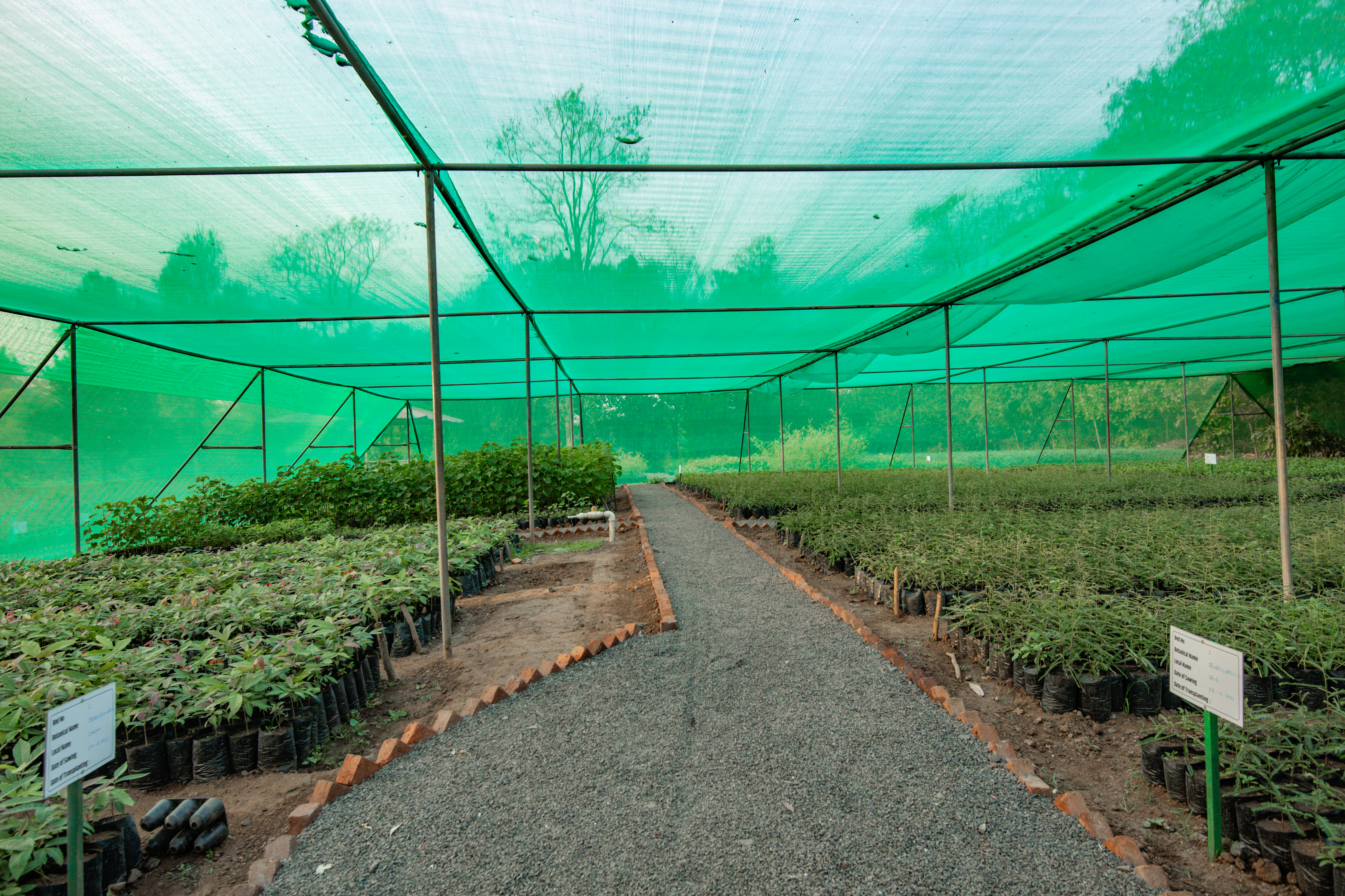 Nursery