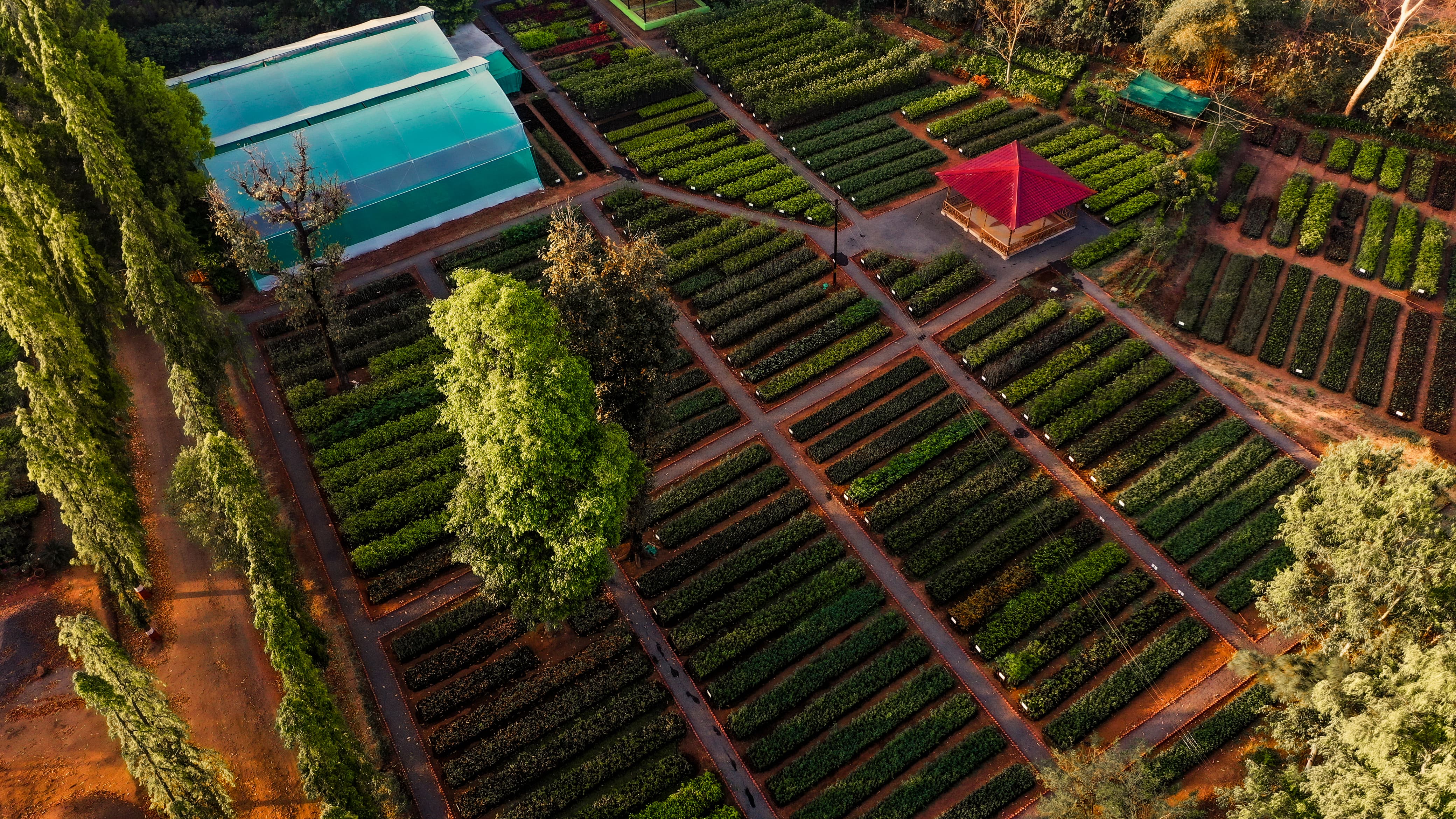 Nursery