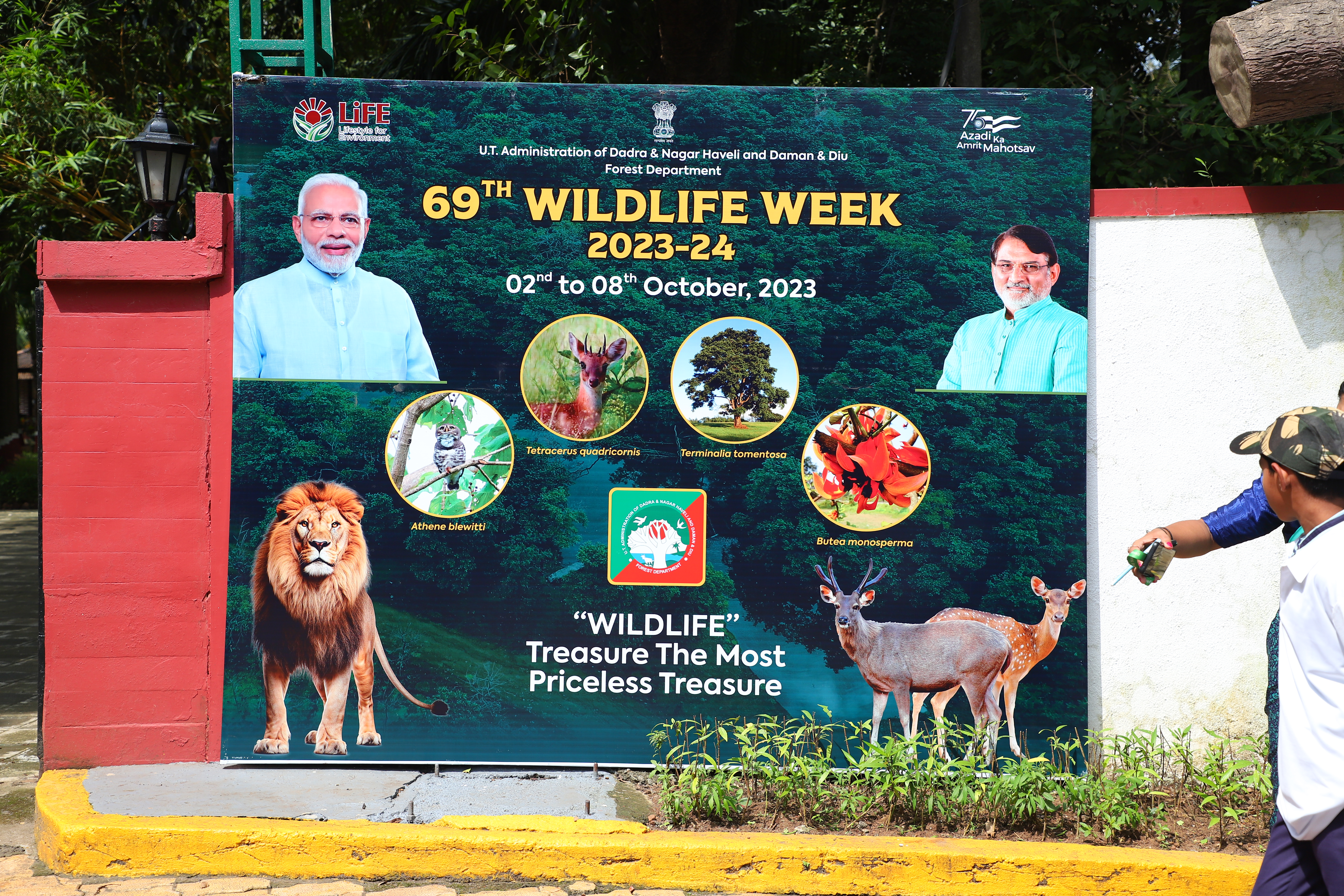 Wildlife Week